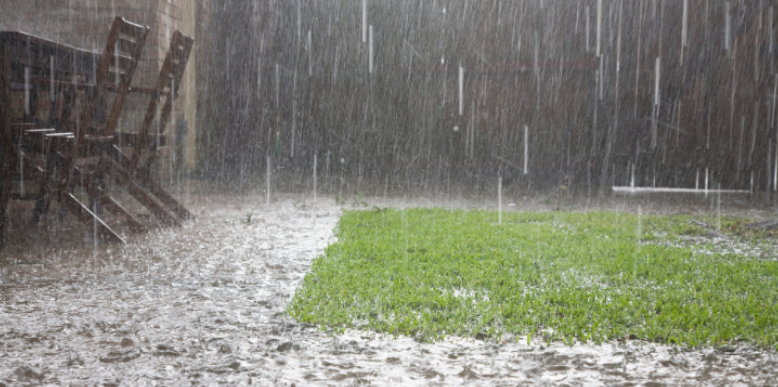 How Fast Do Mosquitoes Breed After Heavy Rain?