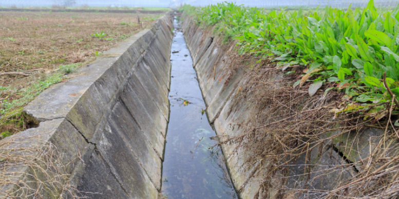 Why Low-Lying Drainage Ditches Near Hephzibah Properties Attract Persistent Mosquitoes