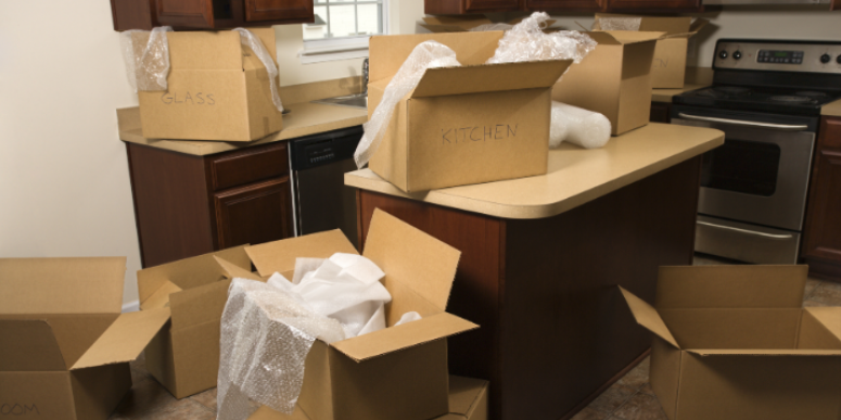 How Military Move-Ins Transport Hidden Pests