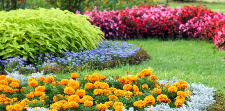 How Landscaping and Mulch Beds Impact Pests