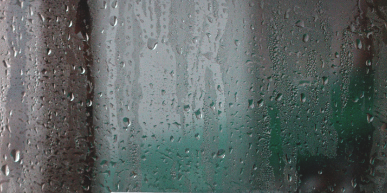 How Summer Humidity Triggers Indoor Pest Surges in Burlington