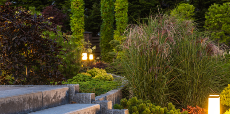 How Dense Suburban Landscaping Creates Unnoticed Pest Corridors in Leawood