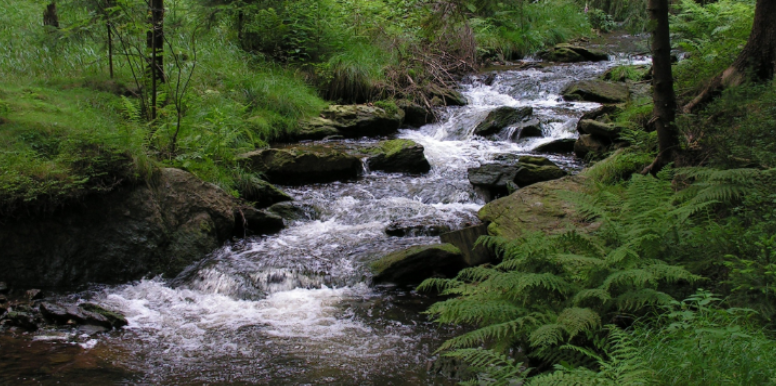 How Riverfront Humidity Keeps Mosquito Activity High Near Bellevue Porches