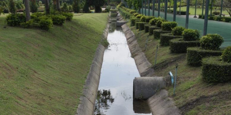 Do Neighboring Drainage Ditches Increase Mosquito Bites in Bristol Neighborhoods?