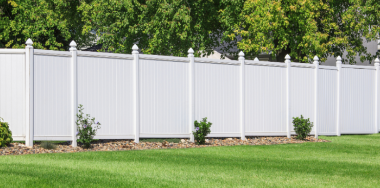 How Overgrown Alleyways and Fence Lines Harbor Mosquitoes in Council Bluffs