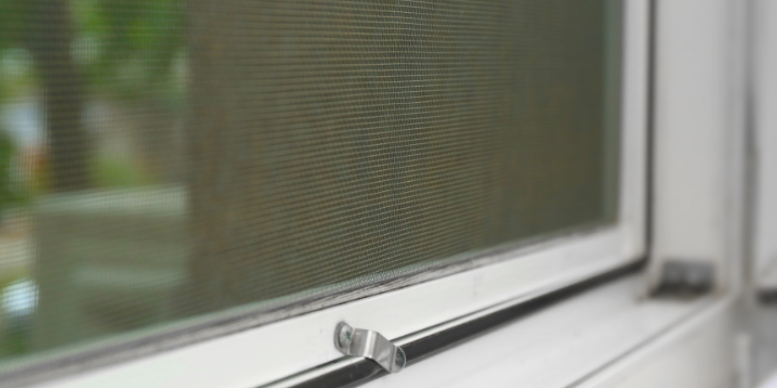 How Unsealed Window Screens and Entry Doors Draw Stinkbugs into North Andover Homes