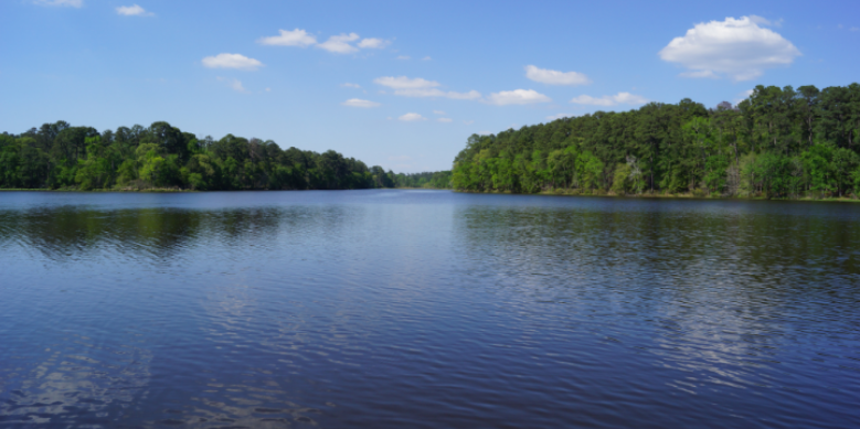 How Coastal Lake Humidity Fuels Sawyer Mosquito Swarms