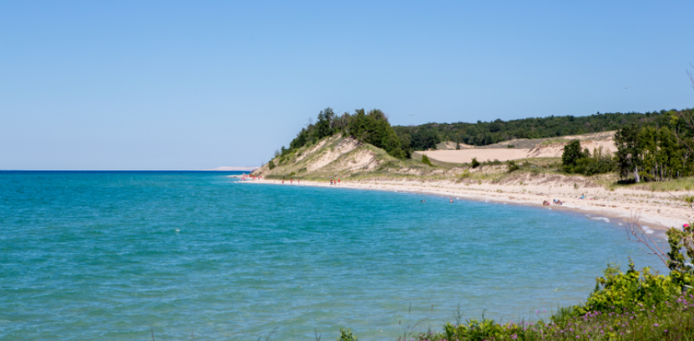 How Lake Michigan Humidity Drives Pest Activity