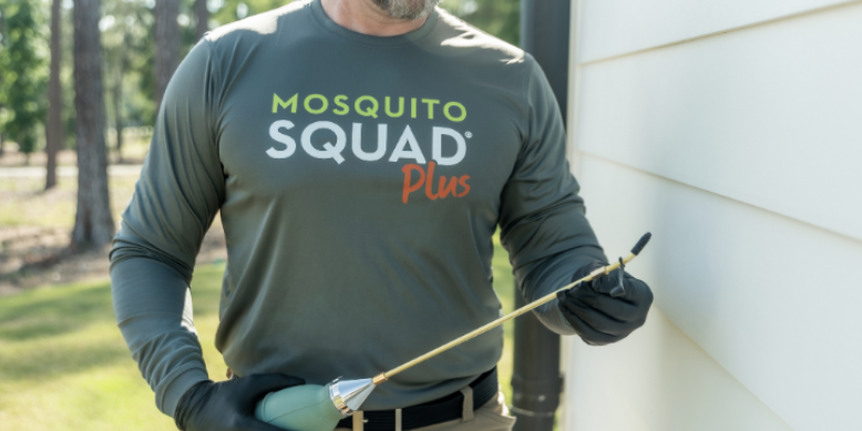 Professional Pest Treatment vs. DIY in Suffolk, VA