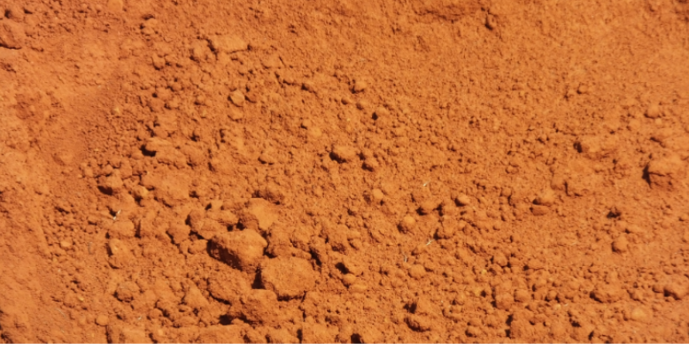 Why Clay-Heavy Soil and Poor Drainage Bring Pests Closer to Lenexa Foundations