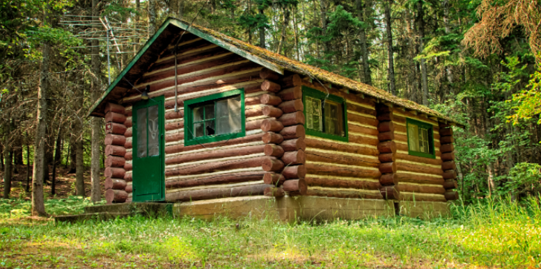 Which Outdoor Features Keep Mosquitoes Alive Around Hackensack Cabins?