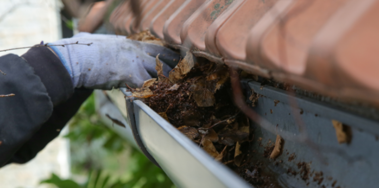 Why Clogged Gutters and Downspout Runoff Fuel Rapid Mosquito Breeding in Auburn
