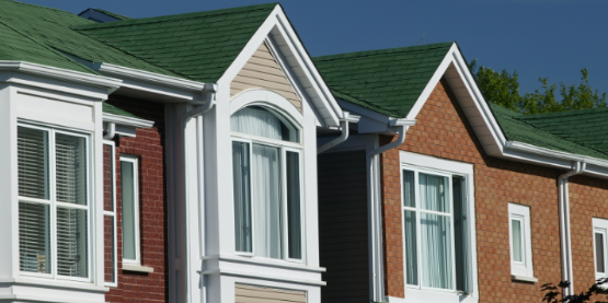 Why Dense Lots Can Concentrate Pest Pressure