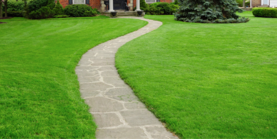 Professional Pest Management for Large Locust Valley Estates