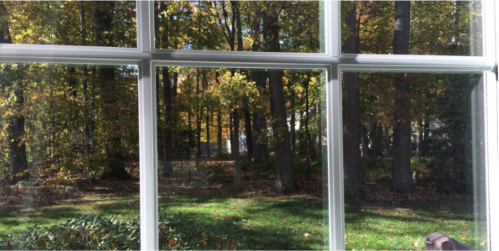 Why Wooded Neighborhoods Create More Pests