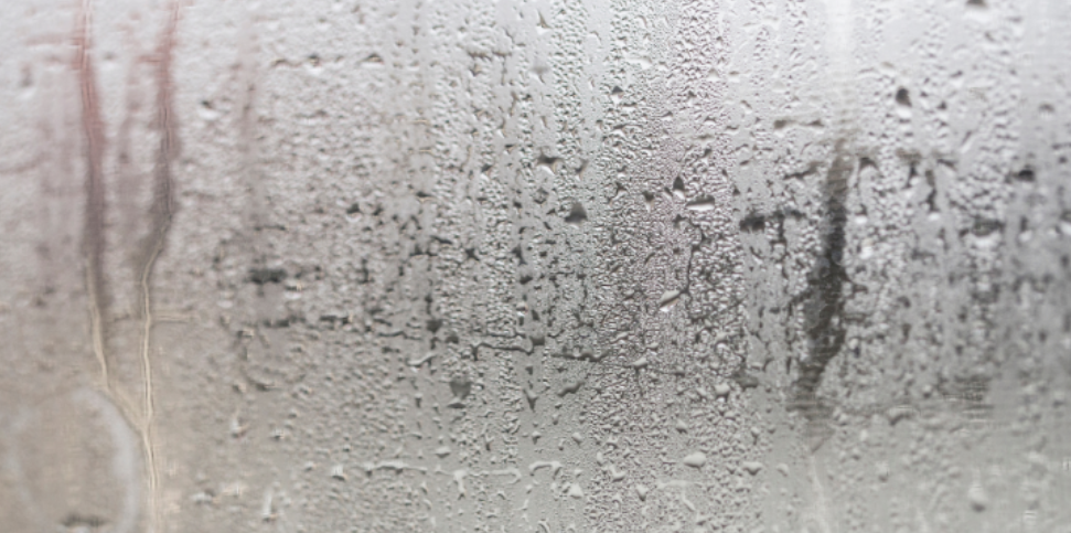 How High Humidity Can Increase Crawling Pest Pressure