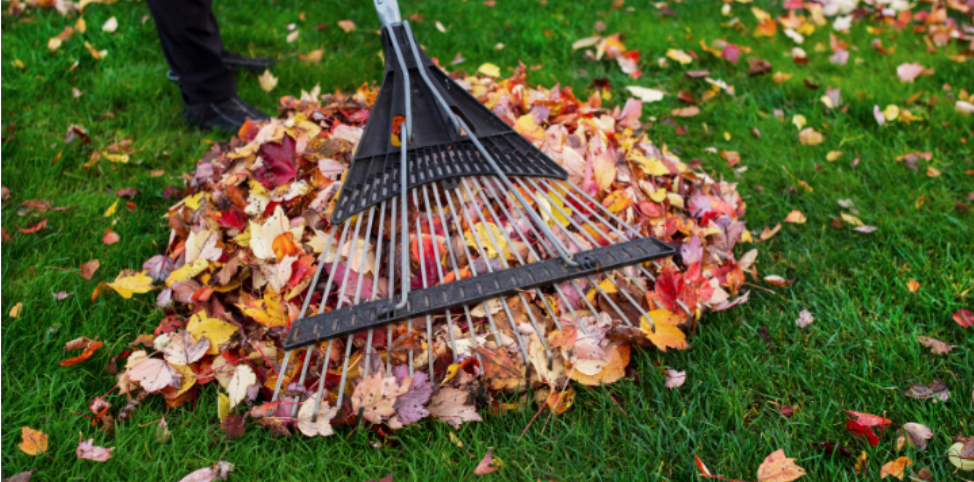 Why Fall Yard Cleanup Can Lead to More Bites