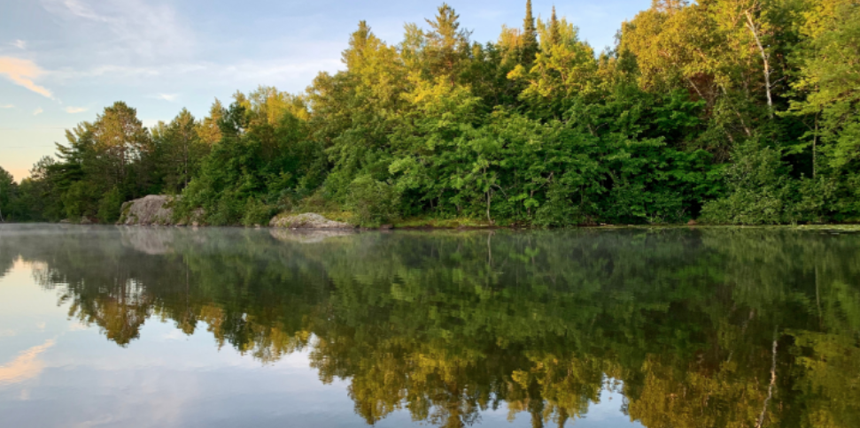 Why Cooler Lakeshore Weather Can Send Pests Looking for Shelter Around Grand Haven Homes