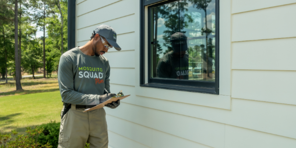 What a Professional Pest Inspection Is Actually Looking For