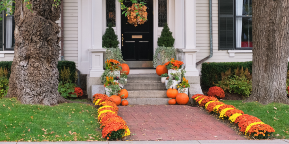 Fall Decorating Tips for Worthington Homeowners: How to Avoid Bringing Pests Inside