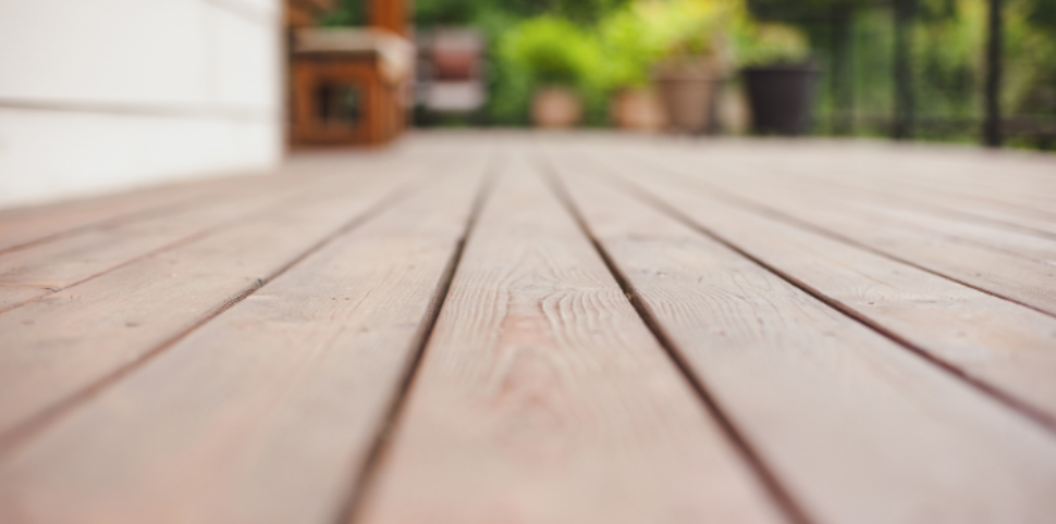 Why Ants Target Lakeside Wolfeboro Decks