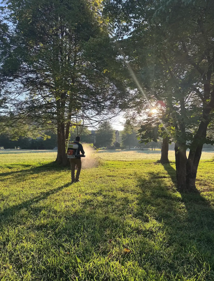 Why Mosquito Control in Hampton Cove Gets Harder When the Leaves Start Falling