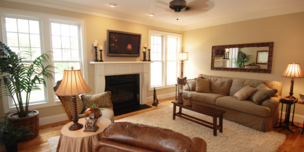 Why Shared Living Spaces Can Increase Pest Pressure