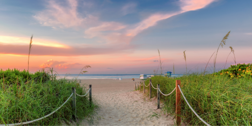 Why Coastal Conditions Can Support Mosquito and Pest Pressure