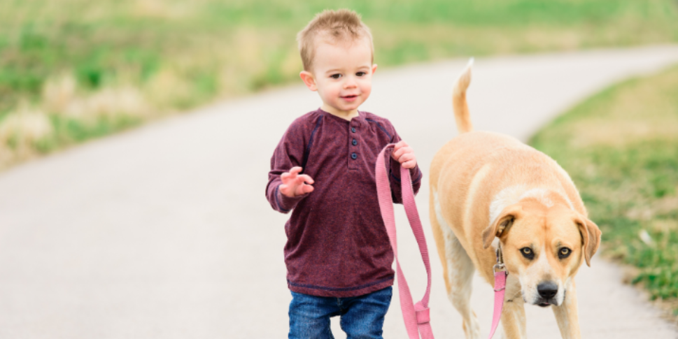 Tips to Help Protect Kids and Pets from Ticks this Fall in Wayne