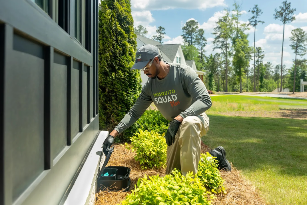 Fall Rodent-Proofing for Cape Cod Homes: A Checklist Before Winter