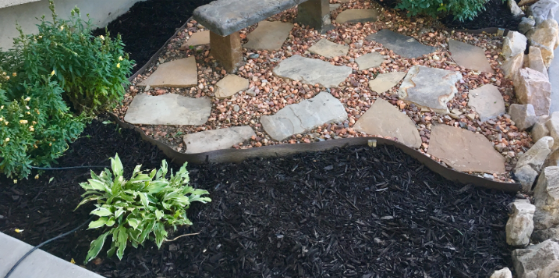 Why Mulch and Landscape Beds Can Support Ant Activity