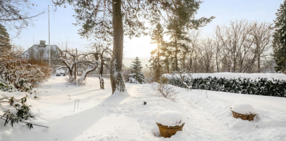 The First Freeze Is Coming: A South Lyon Homeowner's Guide to Winter Pest Prevention