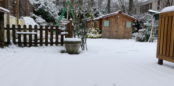 Could a Super El Niño Mean a Different Winter Pest Season in Grand Rapids?