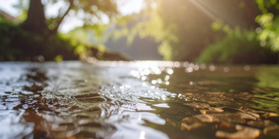 How Proximity to Water Increases Rodent Pressure