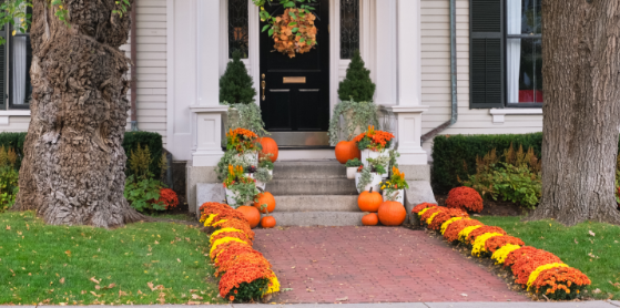 Getting Your Davisburg Property Ready for Fall Without Creating Pest-Friendly Spaces