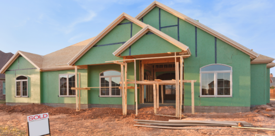 Why New Construction Doesn't Mean Rodent-Free Homes