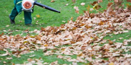 Why Ticks May Be Harder to Spot During Fall Yard Work