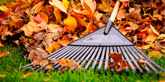 Fall Home and Yard Maintenance Tips That Can Help Prevent Pest Problems in Sawyer