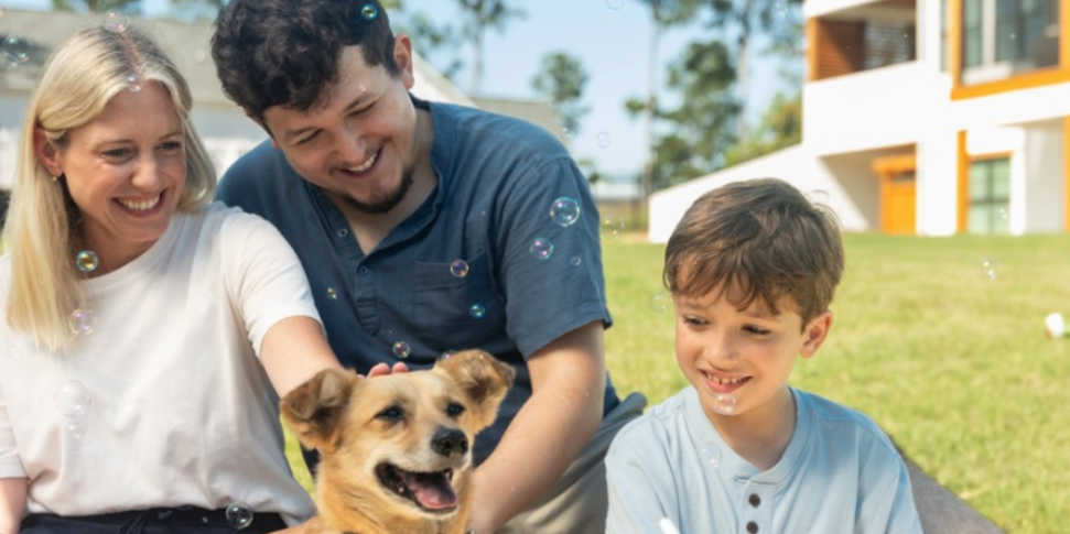 Tick Control Options for Yards With Pets in Englewood Cliffs