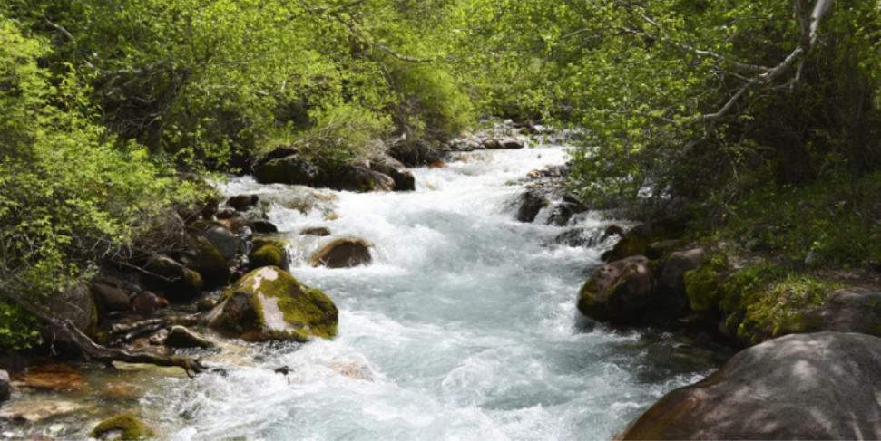 How River Proximity Affects Fall Pest Pressure in Smithtown