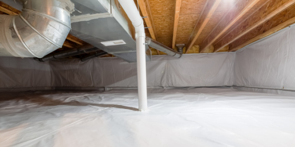 Coastal Winterizing: Preventing Fall Pests in Madison Waterfront Crawlspaces