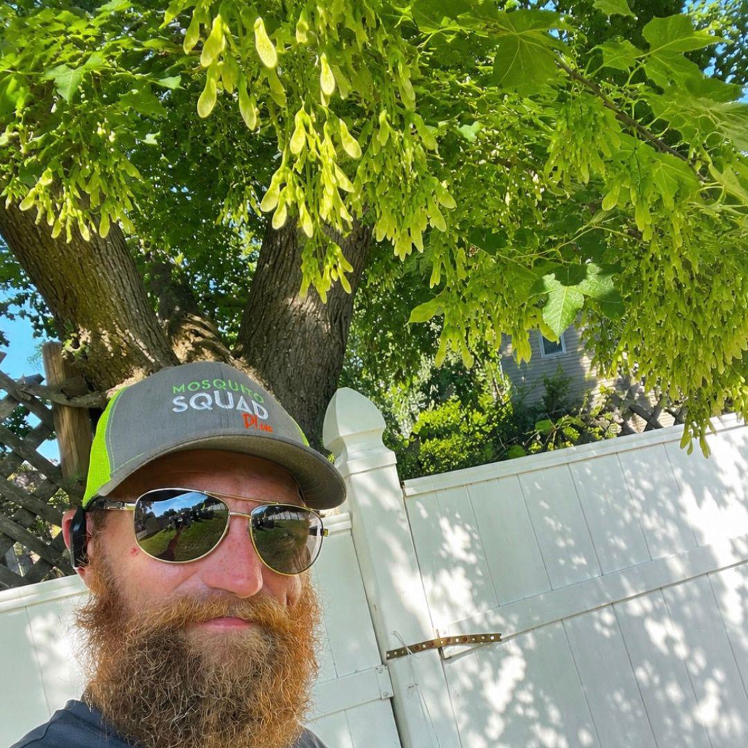 Why Boxelder Bugs Cover Your Dayton House When There Is No Boxelder Tree in Sight