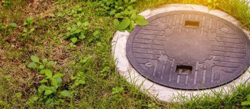 Septic Tanks are a Prime Breeding Ground for Mosquitoes
