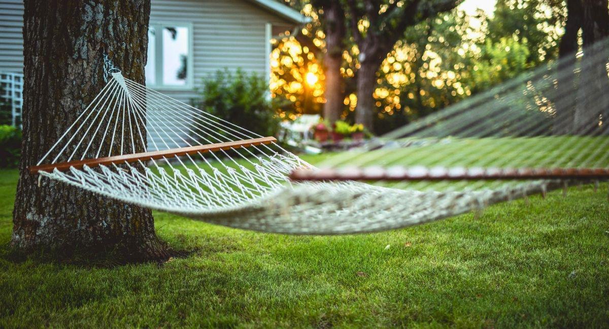 Three Signs You Have Chiggers in Your Yard
