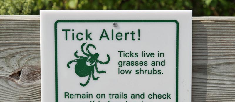 We Aren’t Out of The Woods Yet, Why You Should Implement Fall Tick Control