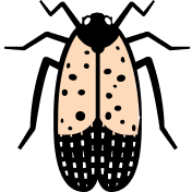 Spotted Lanternfly icon