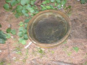 standing water