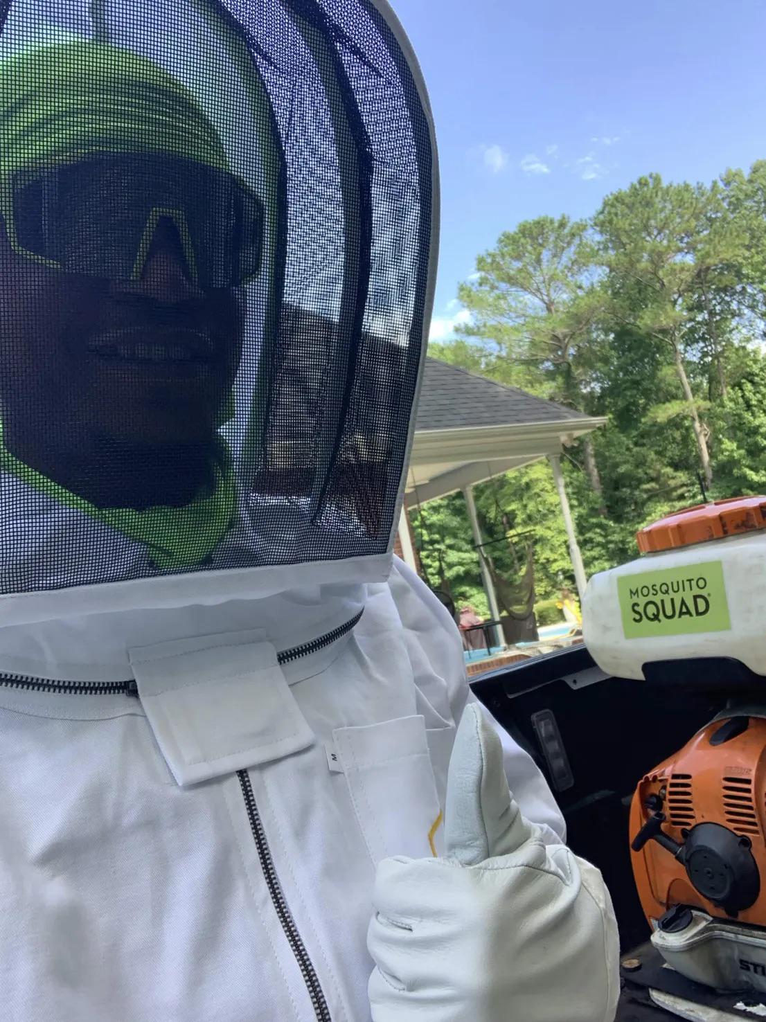 Hornet Removal in Huntsville Usually Starts in the Second Building