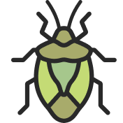 Stink Bug icon