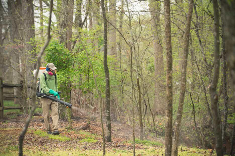 Employee spraying for Mosquitoes